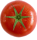 Segar Langsung dari Ladang